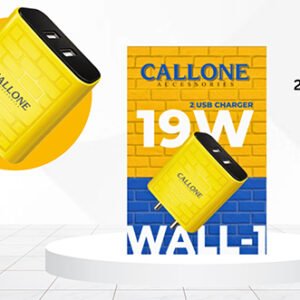 Wall -1 19W Charger